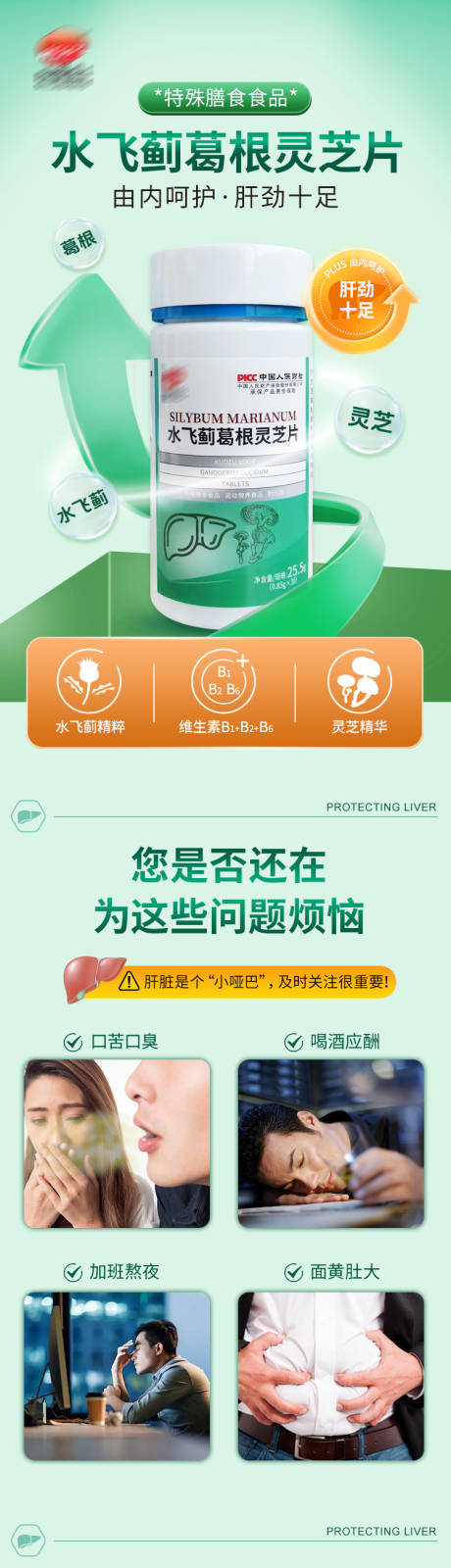 源文件下载【水飞蓟葛根灵芝片】编号：70090028898448752