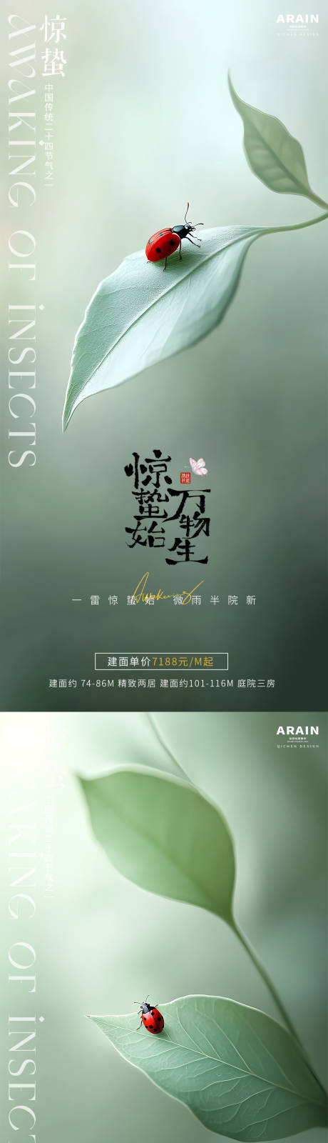 源文件下载【惊蛰昆虫节气海报】编号：31390028911915689