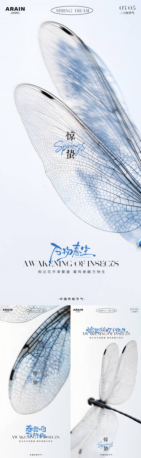源文件下载【惊蛰节气蜻蜓翅膀摄影简约系列海报】编号：10450028999874336