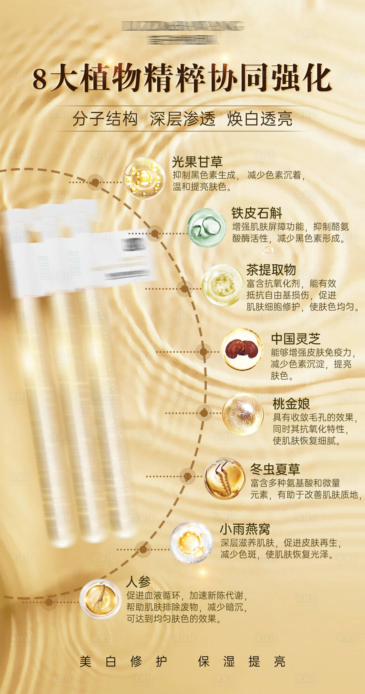 源文件下载【护肤品成分海报】编号：52980028969491733