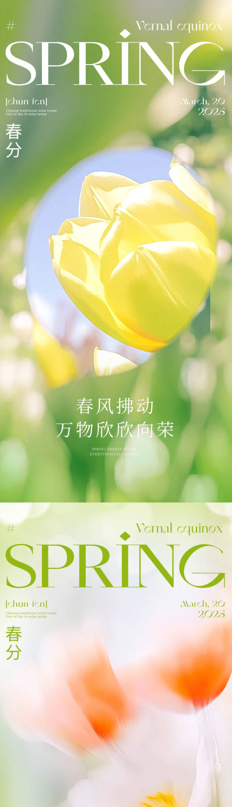源文件下载【春分节气系列海报】编号：14680028686496854