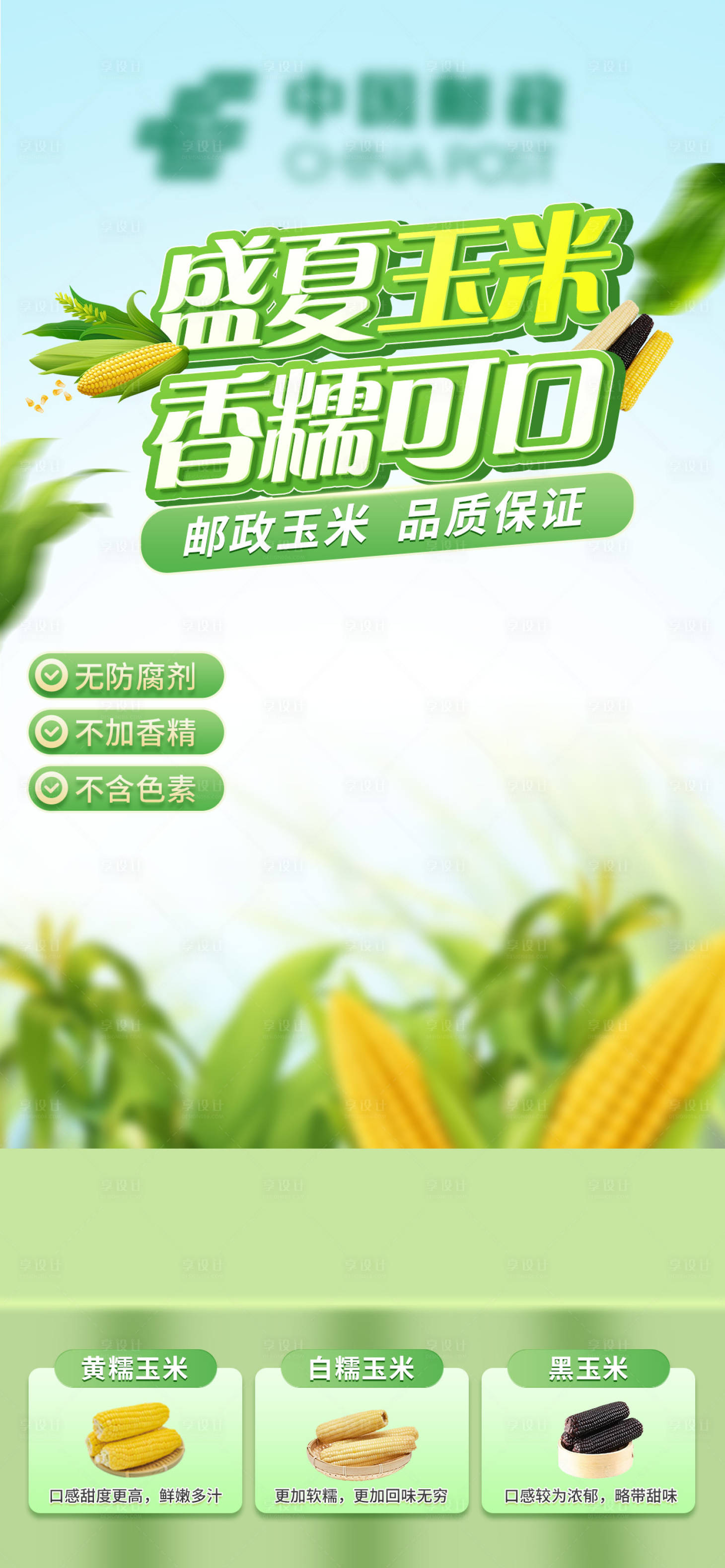 源文件下载【享设计】搜索编号：82500029093438347【玉米直播间海报】