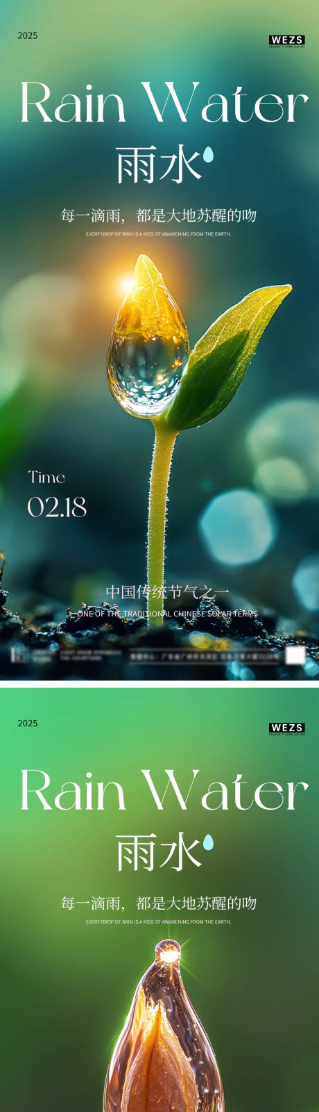 雨水绿芽节气移动端海报