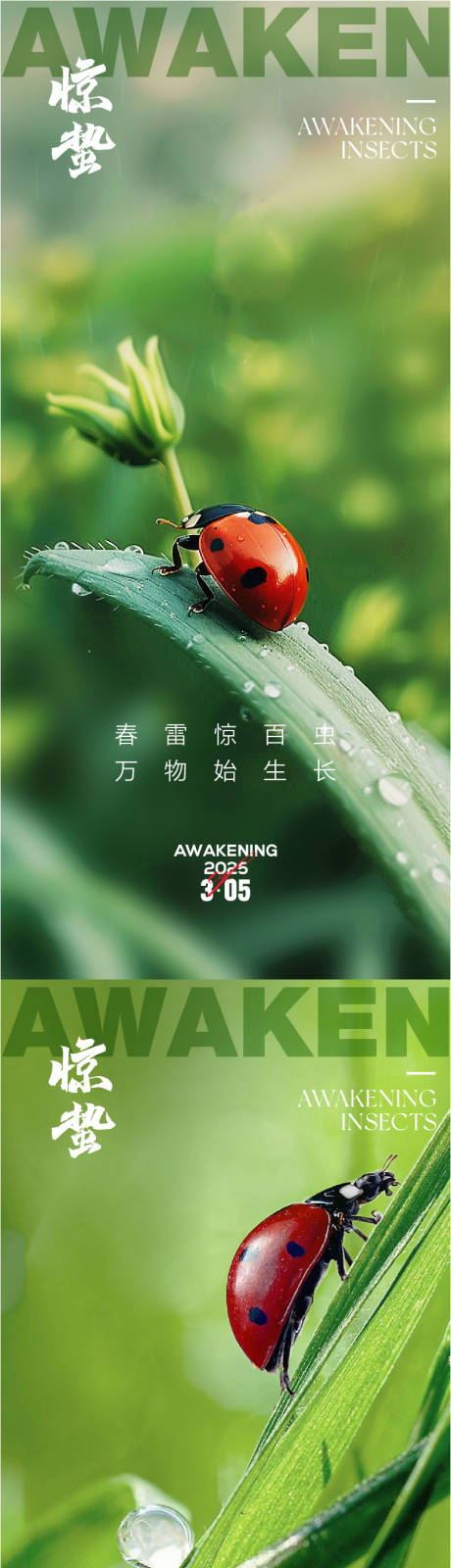 源文件下載【驚蟄春分 】編號(hào)：37770028958121136