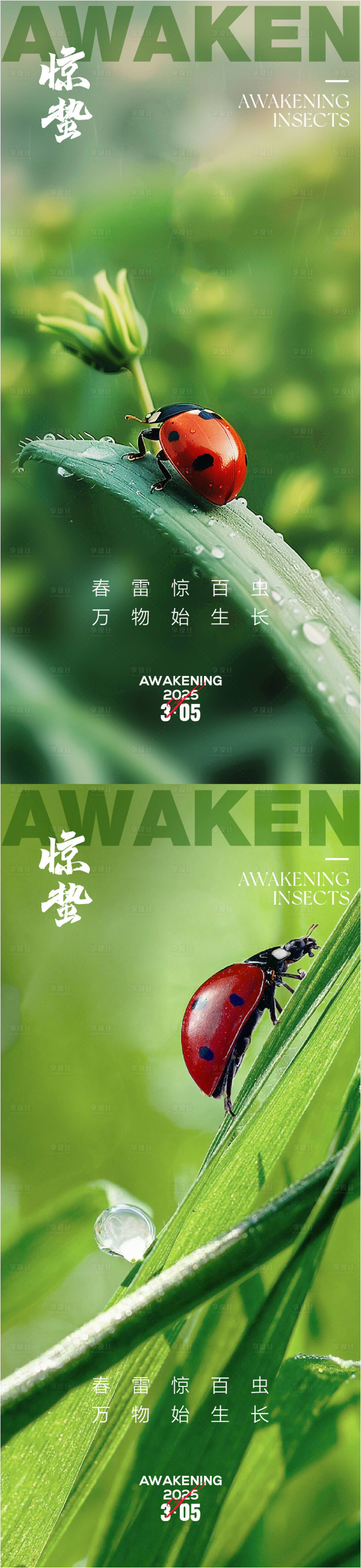 源文件下載【驚蟄春分 】編號：37770028958121136