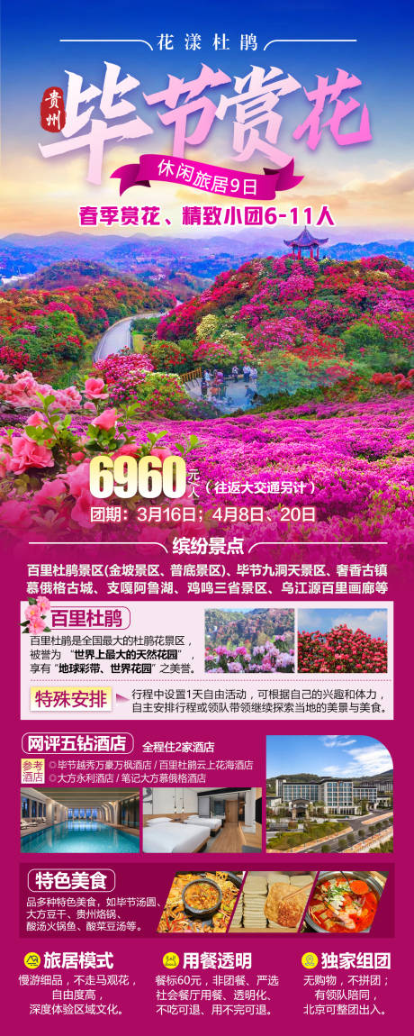 毕节赏花杜鹃花春季赏花