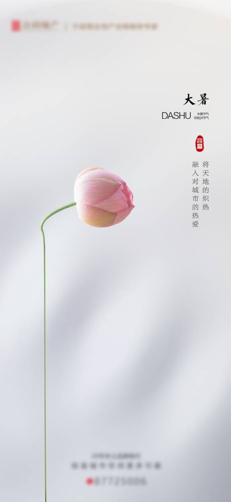 源文件下载【节气大暑 】编号：45780028927849918