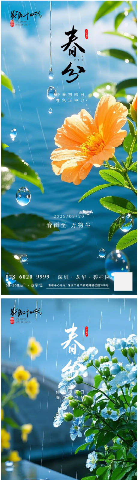 源文件下载【24节气春分池塘花雨海报】编号：91080028720786289