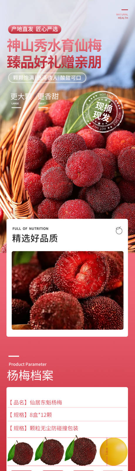 源文件下载【享设计】搜索编号：73090029773211640【杨梅详情页】