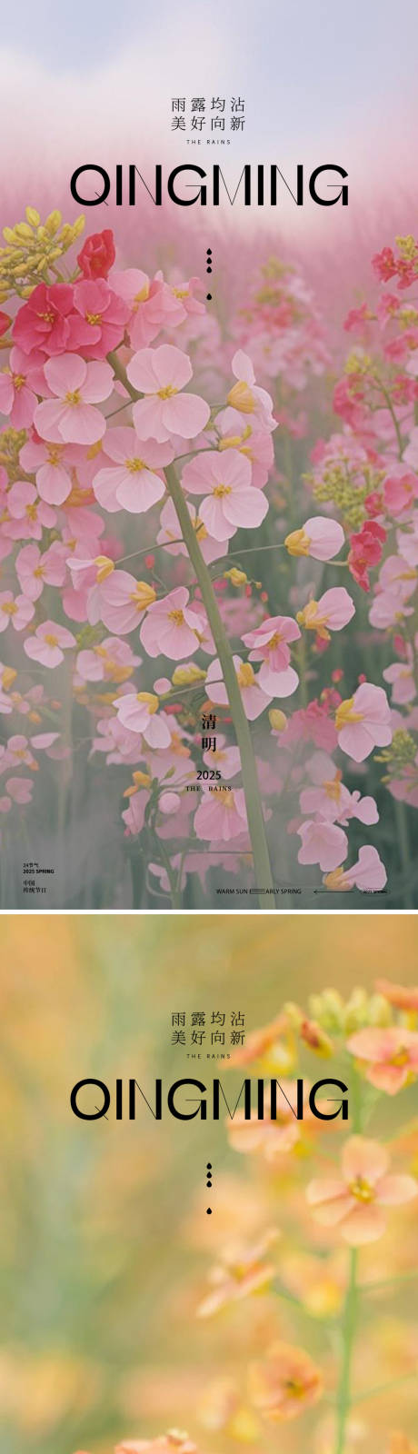 源文件下載【清明節花朵海報】編號：17280029804032540