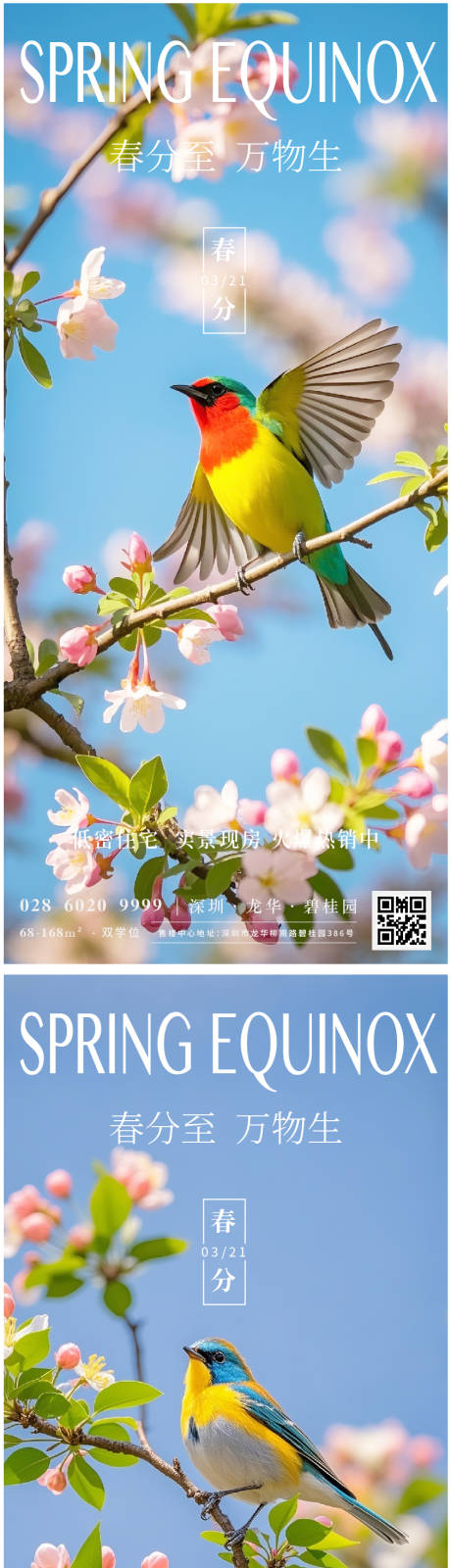 源文件下载【二十四节气春分海报】编号：22460029453066077