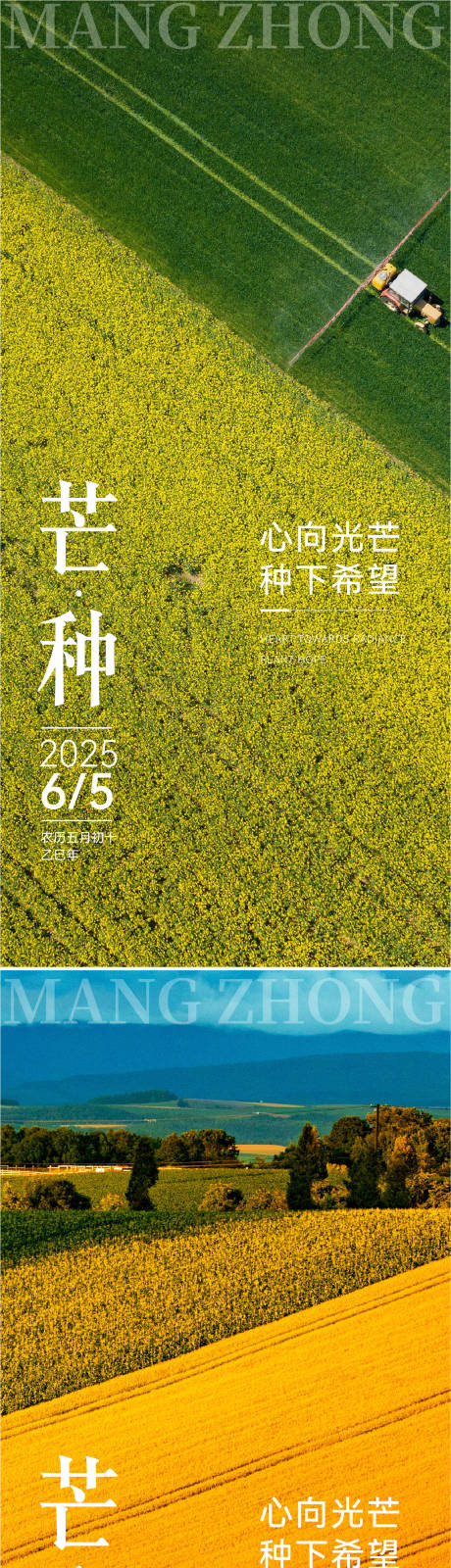 源文件下載【芒種海報】編號：31790029531771259