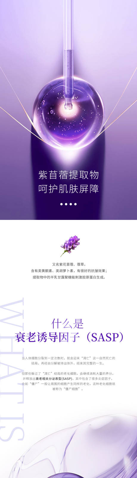 源文件下载【享设计】搜索编号：19260029810501691【成分海报介绍】