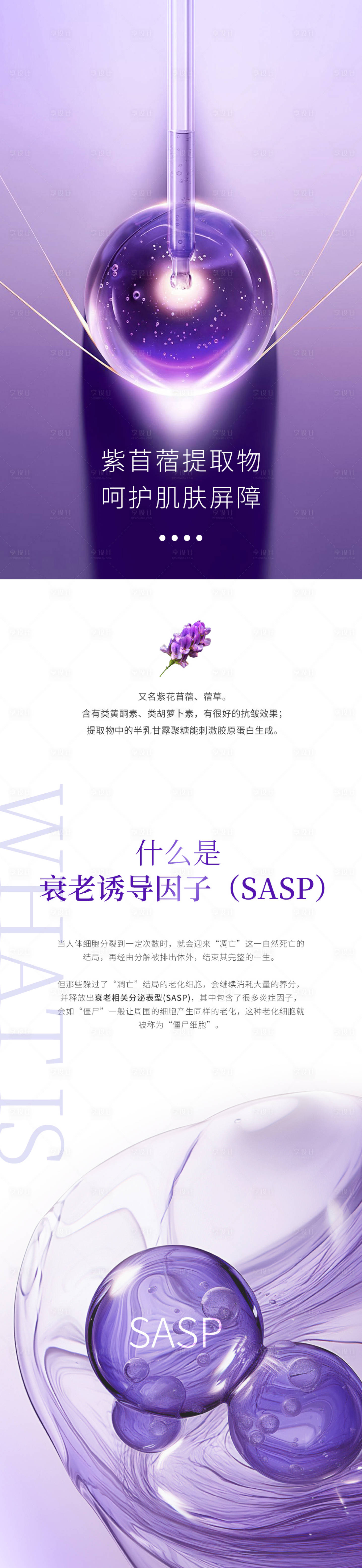 源文件下载【享设计】搜索编号：19260029810501691【成分海报介绍】