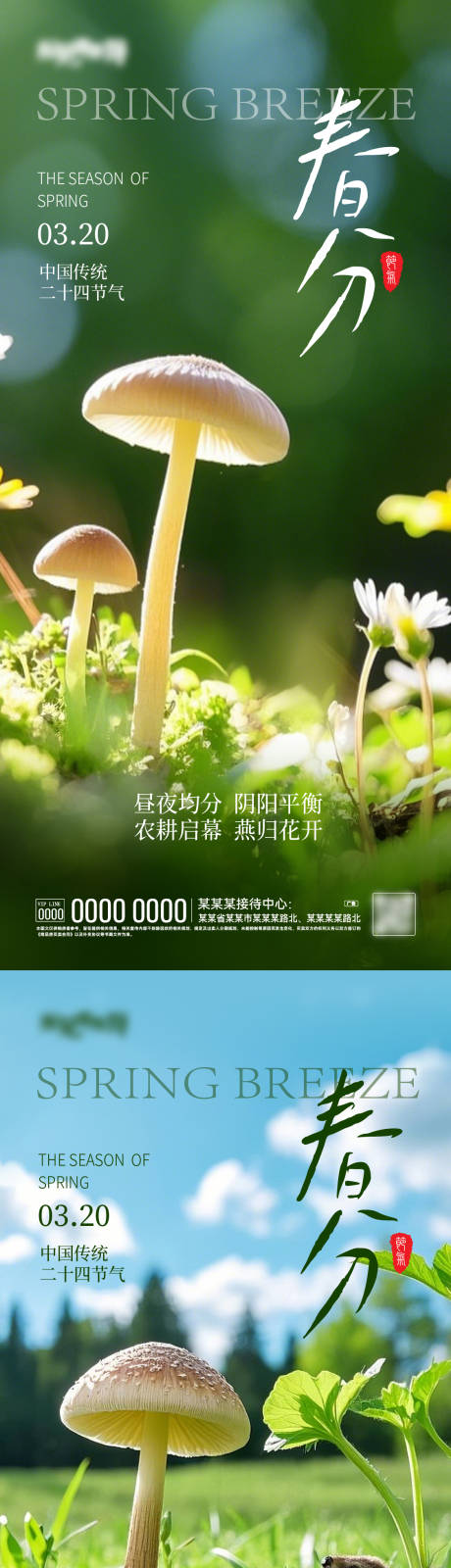 源文件下载【春分海报】编号：24370029486915236