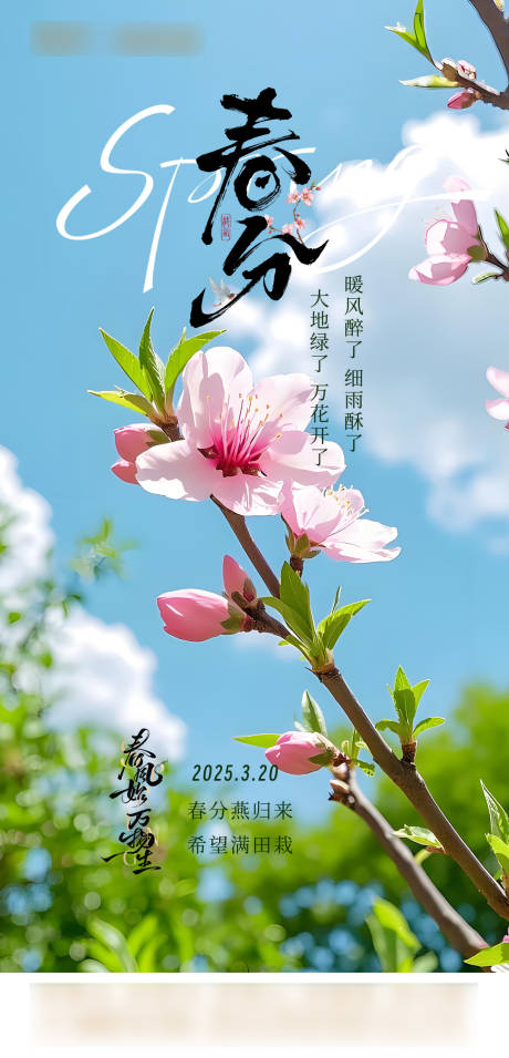 源文件下载【春分海报】编号：30900029497063927