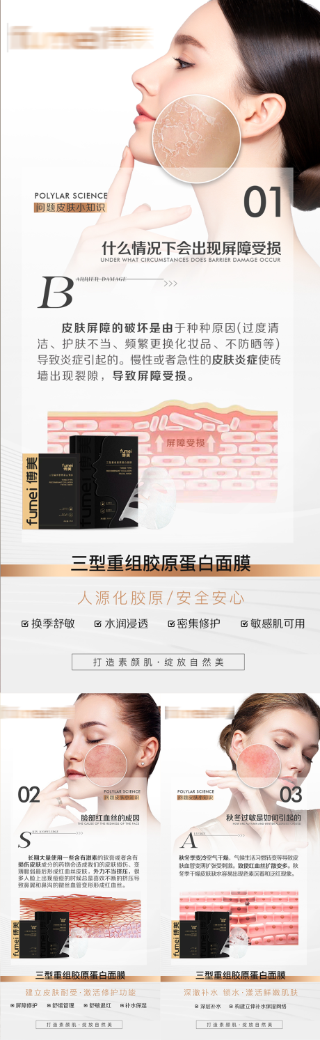 源文件下载【科普海报】编号：17440029546164513