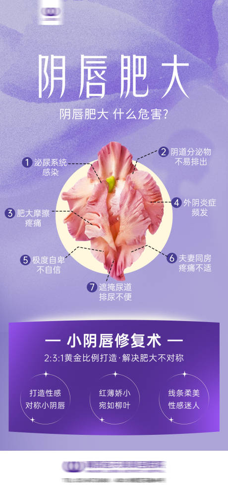 源文件下載【醫美女性私密陰唇海報】編號：83960029645864143