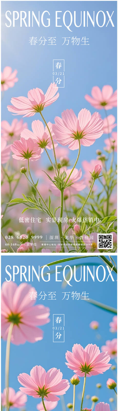 春分节气海报