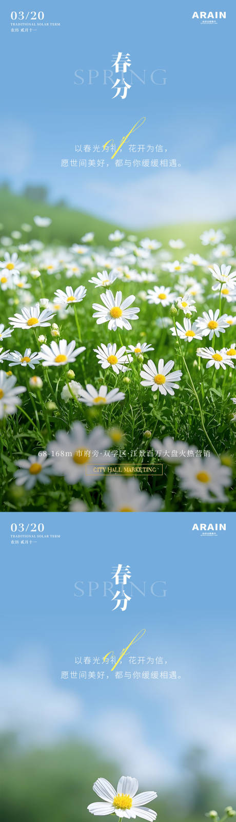 源文件下载【春分雏菊蓝天摄影风景海报】编号：87130029316876975