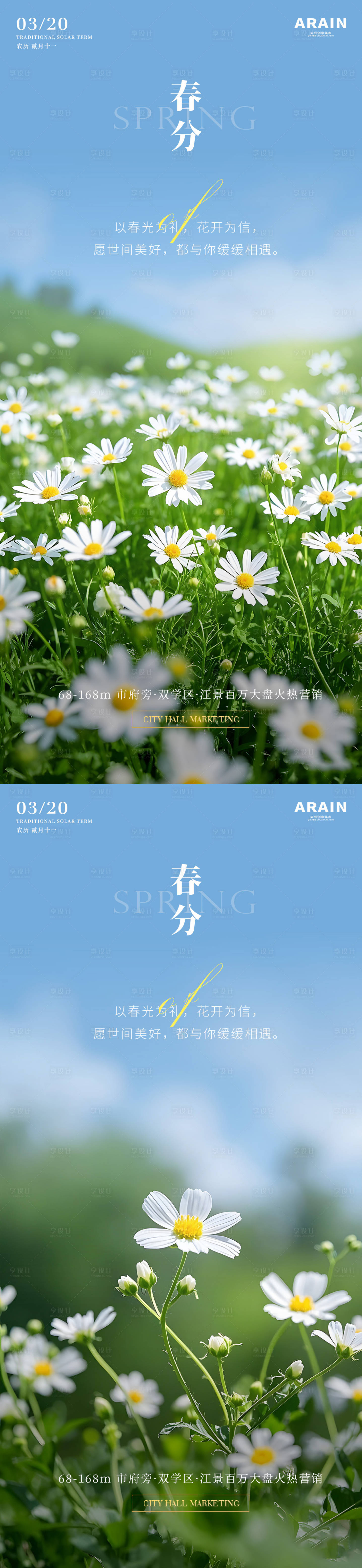 源文件下载【享设计】搜索编号：87130029316876975【春分雏菊蓝天摄影风景海报】