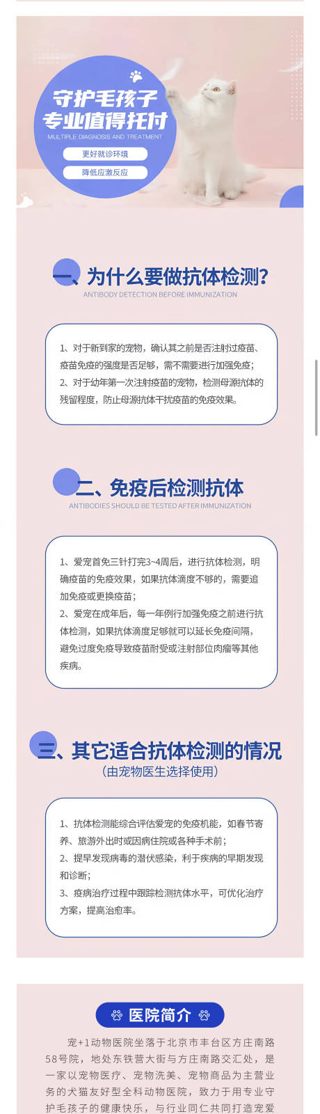 源文件下载【抗体检测长图】编号：95320029634007174