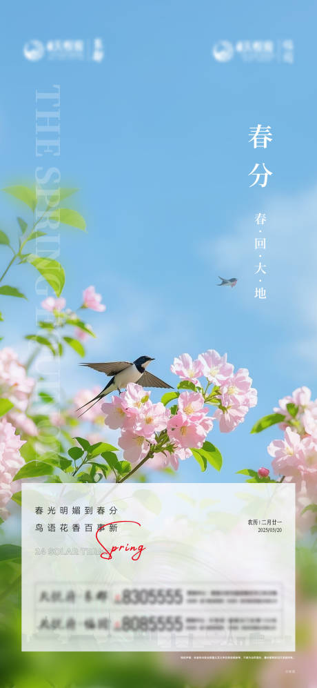 源文件下载【春分节气海报】编号：87460029570349766