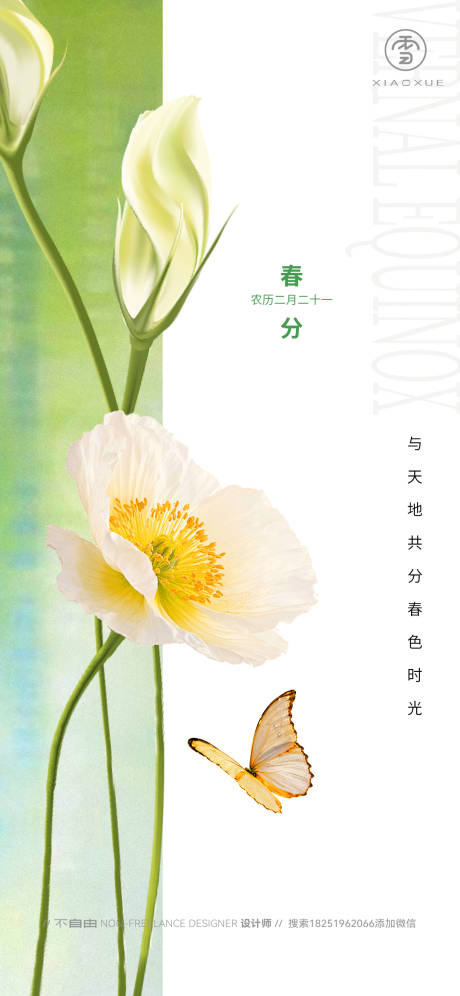 春分节气海报