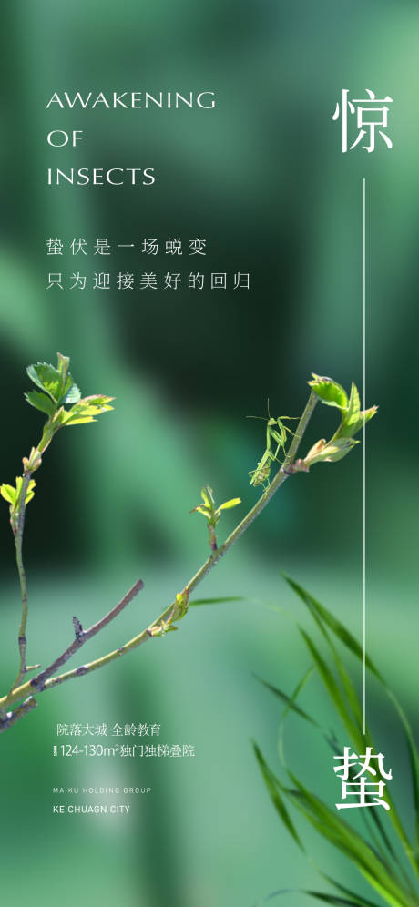 源文件下载【惊蛰螳螂节气海报】编号：52310029154686481
