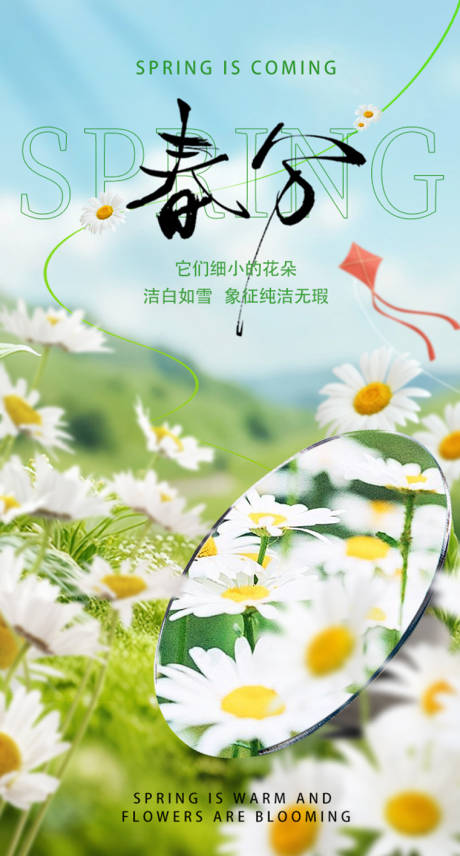 源文件下载【春分海报】编号：69080029592944160