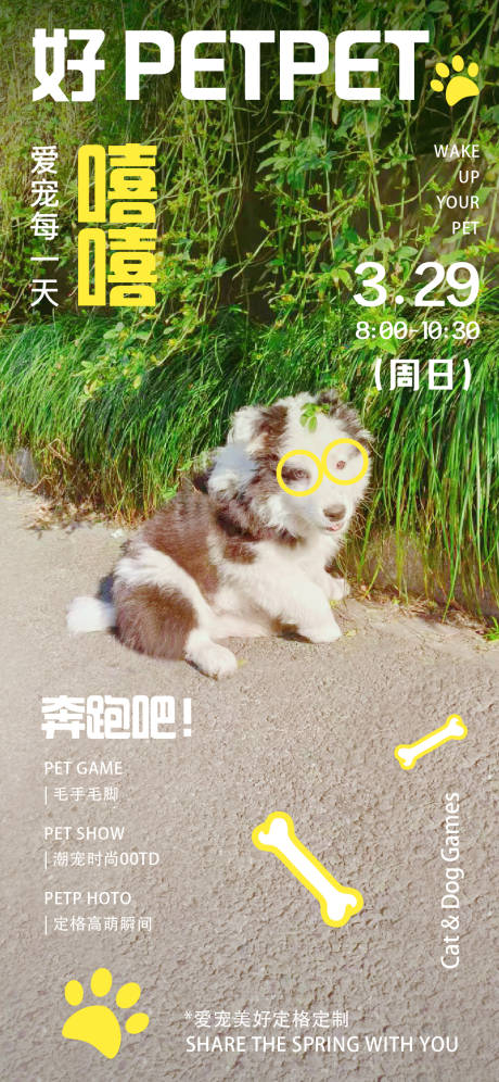 源文件下载【萌宠定格海报】编号：81100029842698811