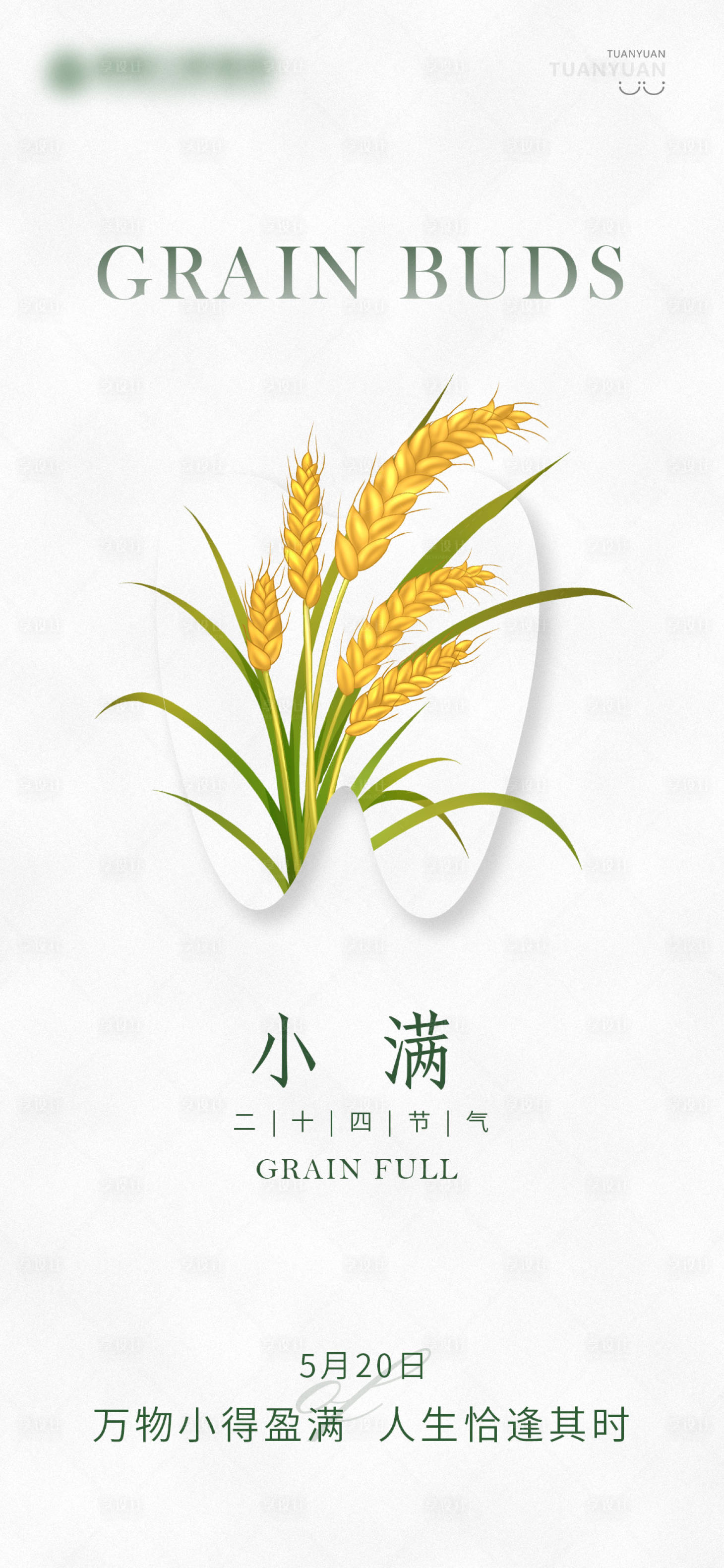 源文件下载【小满节气微信海报】编号：67460029480249038