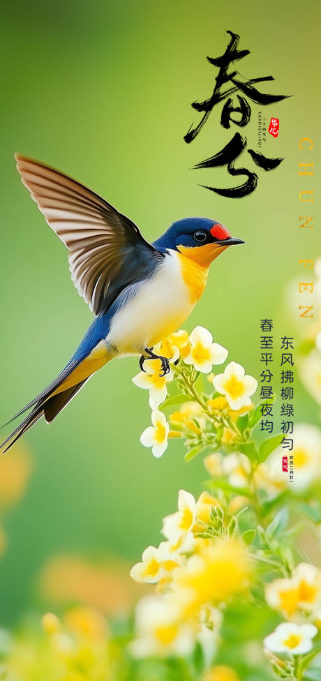 源文件下载【春分节气海报】编号：62600029310686757