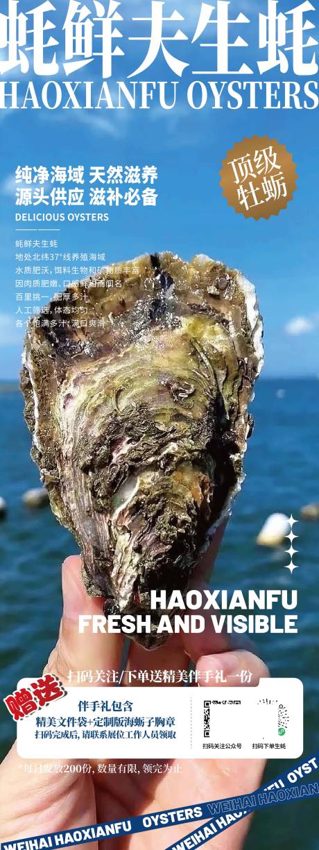 源文件下载【乳山生蚝宣传海报】编号：51530029469197170