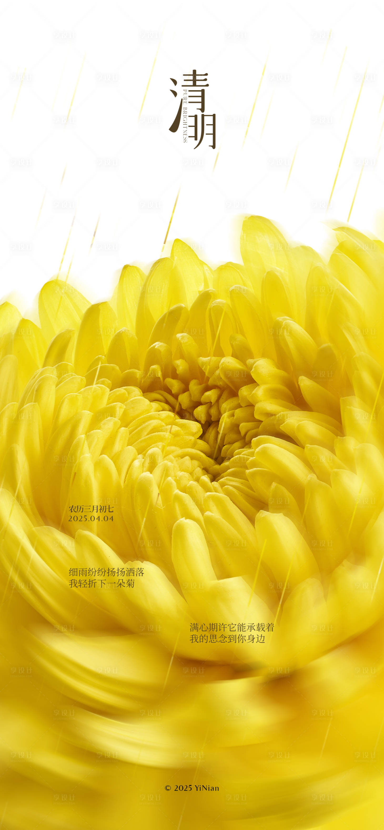 源文件下载【清明节黄菊海报】编号：22900029515202501