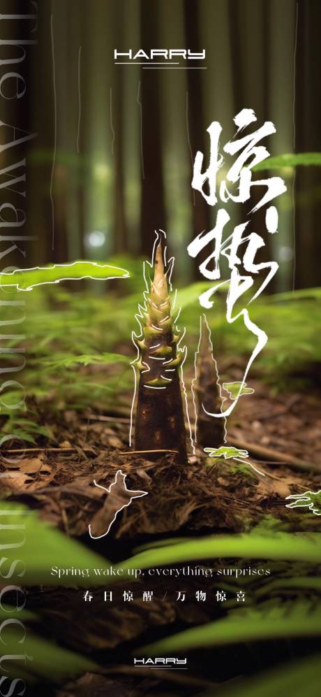 源文件下载【惊蛰节气宣传海报】编号：50190029160281969