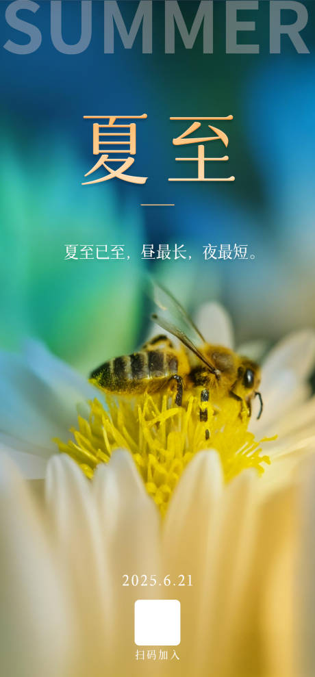 源文件下載【夏至海報】編號：16130029582073611