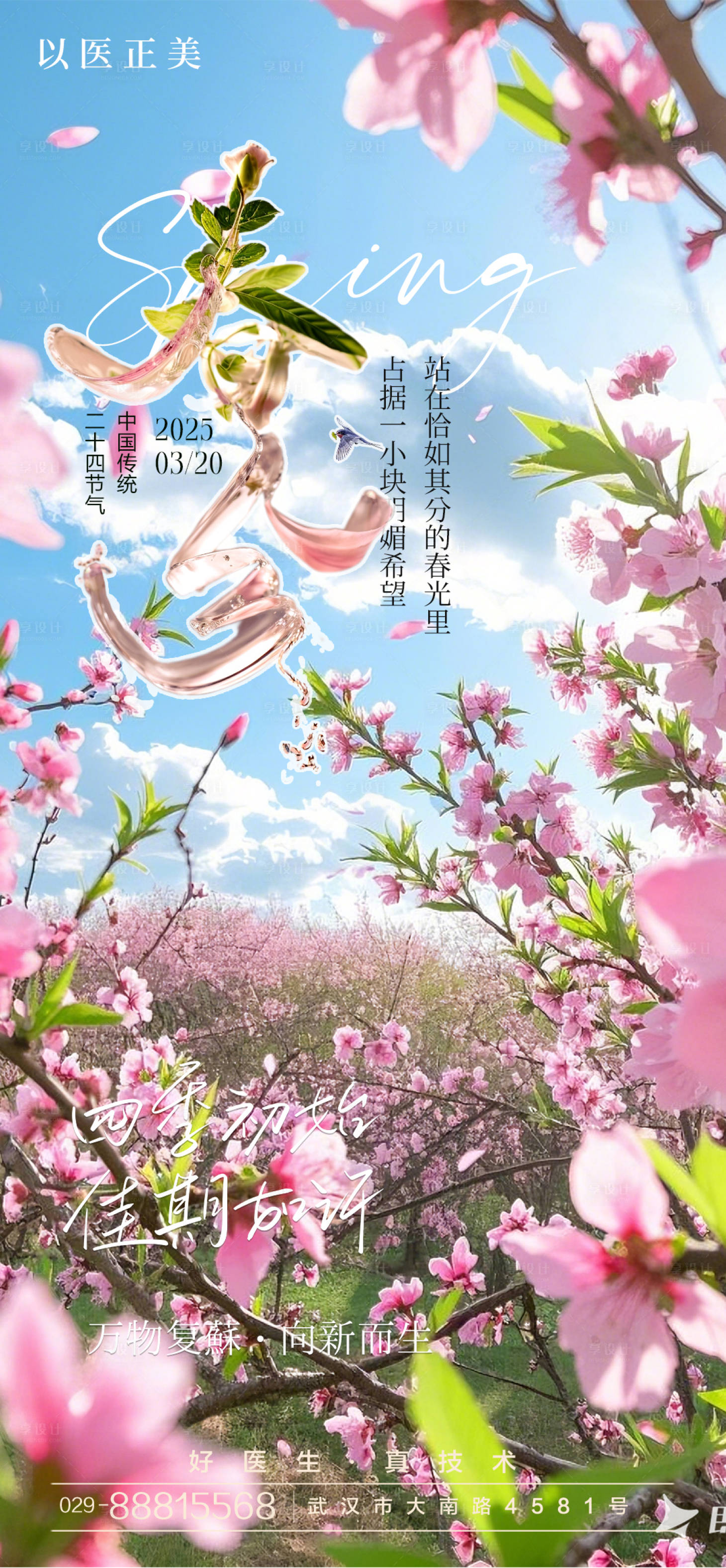 源文件下载【春分海报】编号：96640029597301867