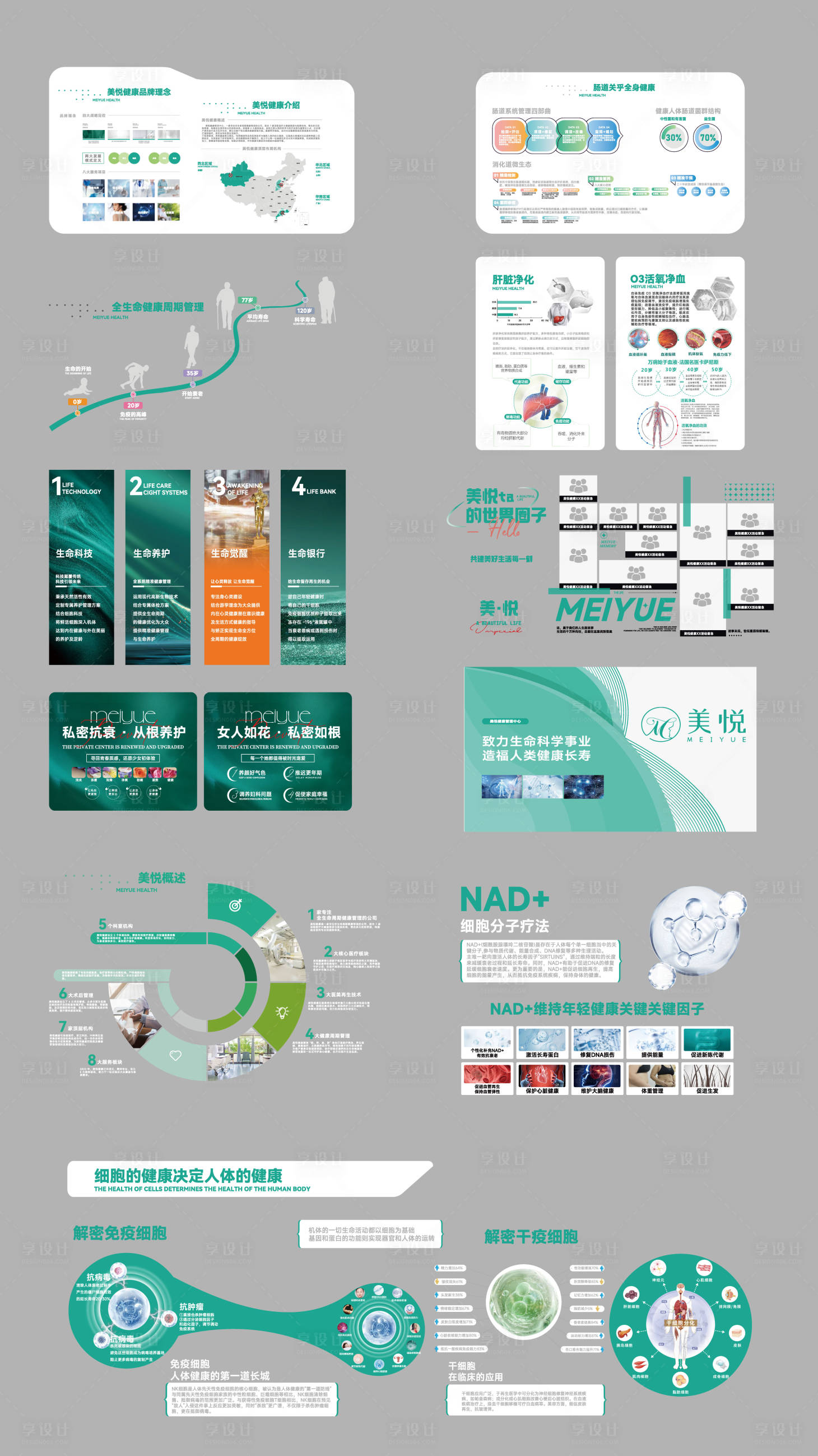 源文件下载【医疗大健康文化墙活动物料】编号：58270029105842570