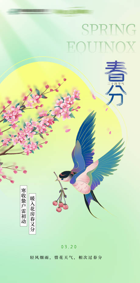 源文件下载【春分节气海报】编号：12700029573135097