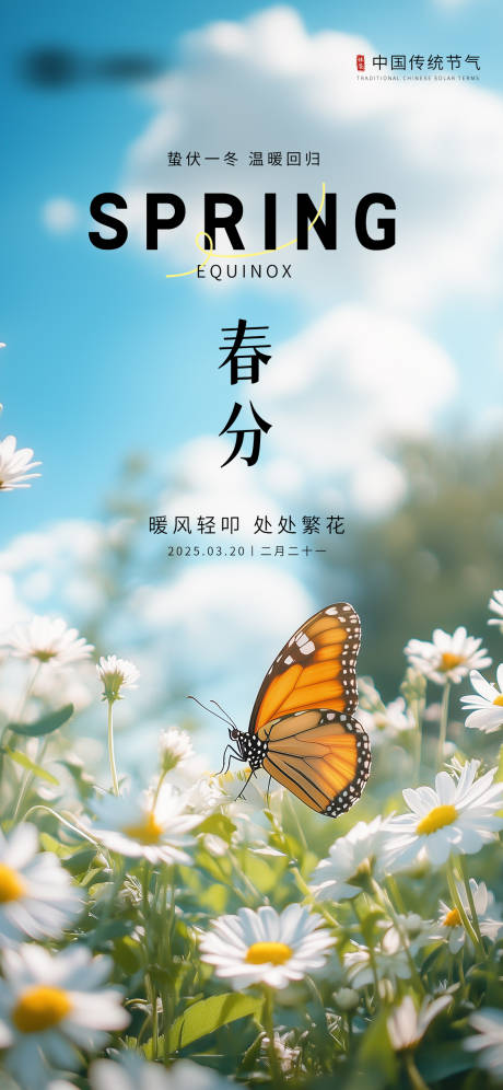 源文件下载【春分节气海报】编号：68830029229704050
