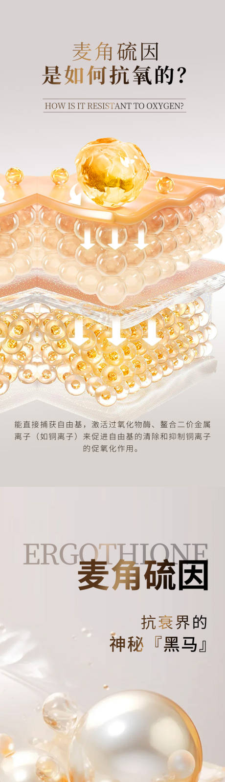 玻色因成分海报套组