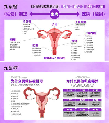 源文件下载【女性私护海报】编号：26630029654205474