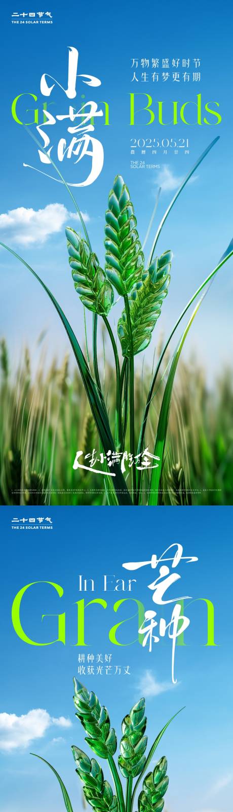 源文件下载【小满芒种节气海报】编号：61610029865763190