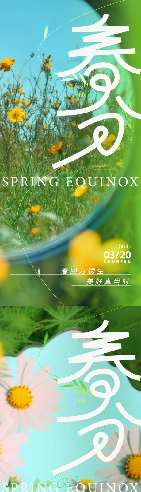 源文件下载【春分花卉系列海报】编号：56010029480526203