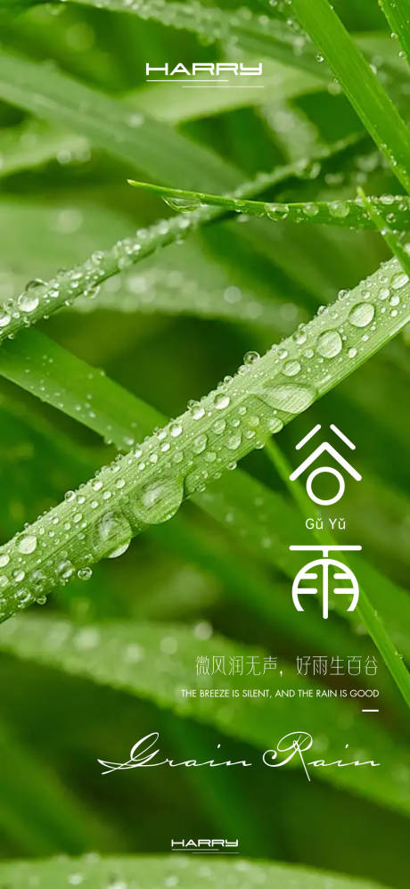 源文件下载【谷雨节气海报设计】编号：29460029523719780