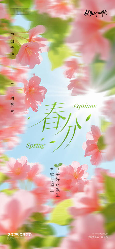 春分节气海报