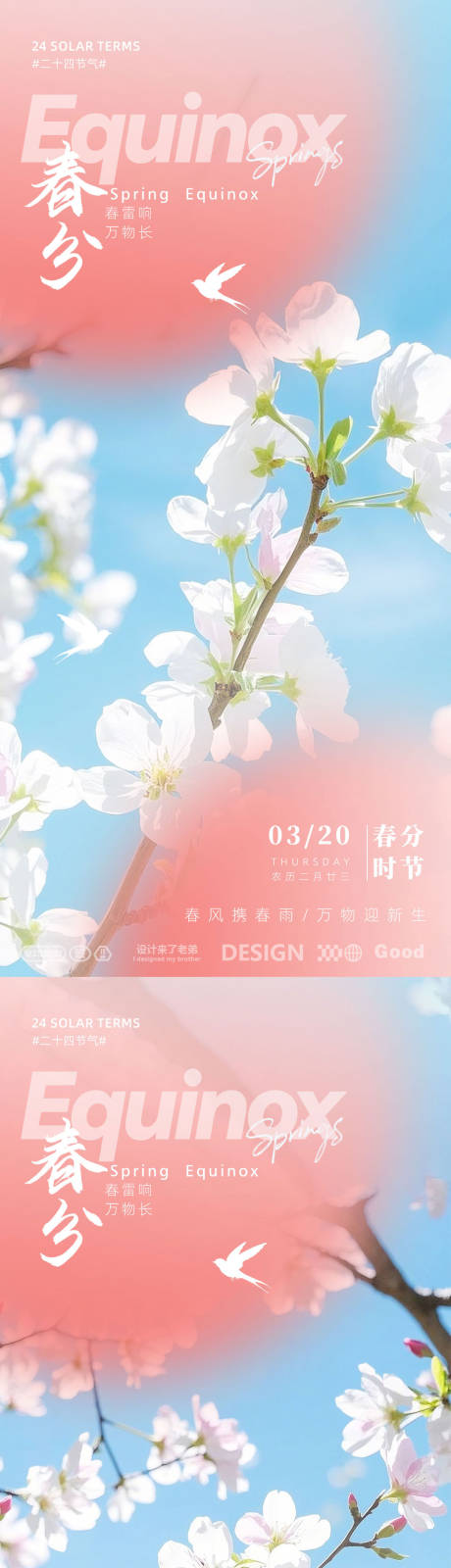 源文件下载【春分海报 】编号：68360029367301255