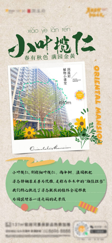 源文件下载【项目植物展示介绍单图海报】编号：42620029783227915