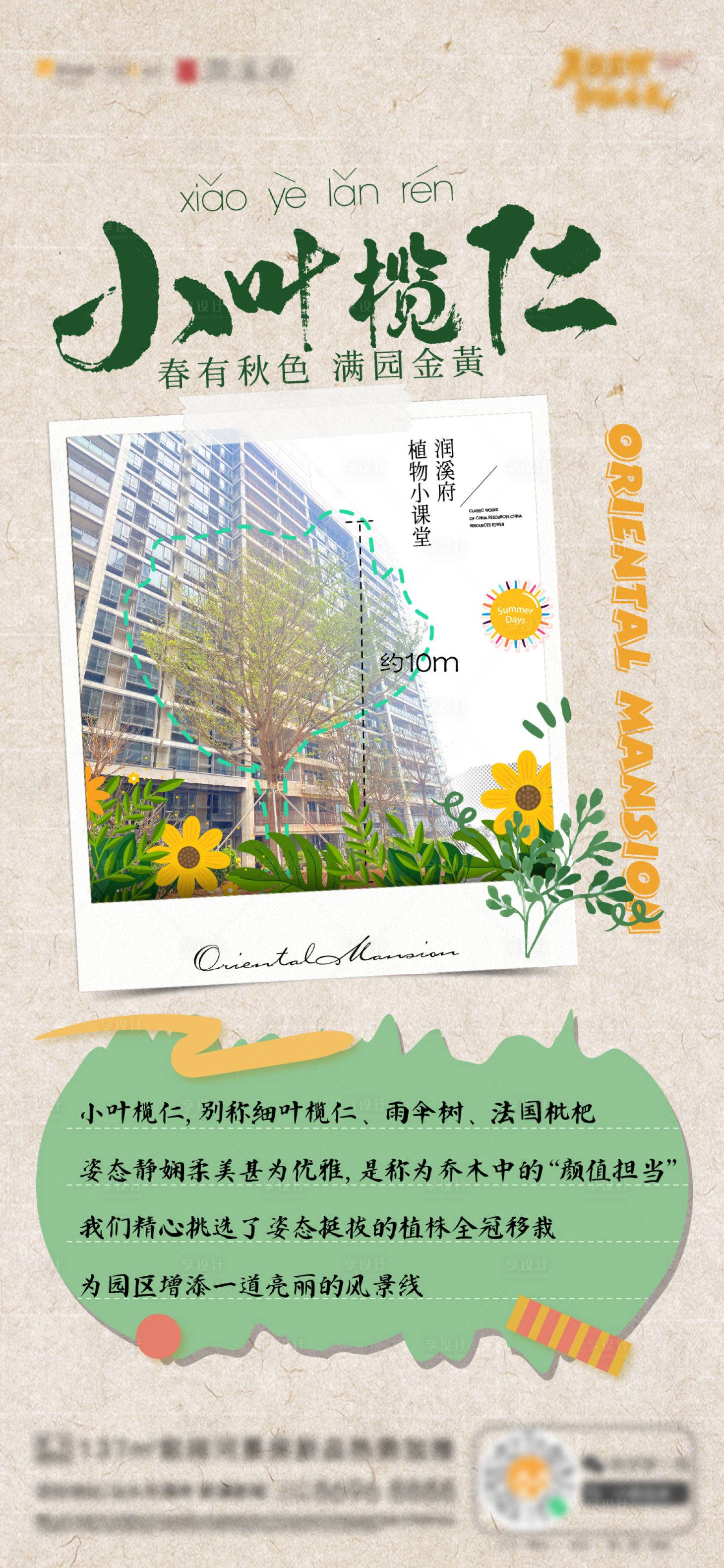 源文件下載【享設計】搜索編號：42620029783227915【項目植物展示介紹單圖海報】